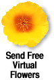 Send FREE Virtual Flowers