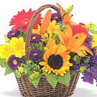 Bountiful Basket Bouquet (Autumn)