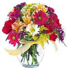 Compact Mixed Flowers Vase