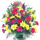 Bright and Cheery Vased Bouquet