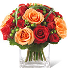 Make an impression with this compact bouquet of fresh roses, miniature roses, and hypericum berries or similar accents combined in a stylish glass cube or vase. Especially popular in Summer and Fall. Sweet! Same-day and next-day delivery available across the USA and Canada.