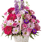 A pretty pink and lavender mixed basket bouquet to show how much you care. Featured flowers include roses, Gerberas, miniature carnations, daisy poms, larkspur, asters, alstroemeria, or similar seasonal favorites. Sweet and peaceful. Florist designed and delivered throughout the USA and Canada.