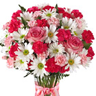 Send a sweet surprise with this fresh combination of daisy poms, miniature carnations, roses, and fresh greens designed and delivered in a classic glass vase. Irresistible! Great for a birthday, Valentine's, Sweetest Day, Mother's Day, thinking of you, and new baby girls, too! Same day and next day delivery available in the USA and Canada.