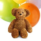 Cheer someone up with a huggable plush teddy bear and bright mixed balloons, too. Great for birthdays, get well, and thinking of you. Same day and next day delivery in USA and Canada.