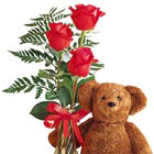 Warm someone's heart with this sure-fire combination of three red roses in a bud vase and an adorable teddy bear, too. Popular for birthdays, get well, Valentine's, and just because.