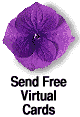 Send FREE Virtual Cards