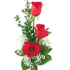 The simple beauty of three lovely roses displayed in a bud vase with a touch of fresh accents. When ordering, simply indicate your color preference. Same day and next day florist delivery in the USA and Canada.