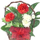 Say 'Season's Greetings' with this adorable little planter basket! A long-lasting gift with fresh cut floral accents, too. Available after Thanksgiving through December.