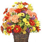 Seasonal mixed fresh flowers in rich Autumn hues make this festive basket bouquet great for any Fall occasion. Featured flowers include daisy poms, yellow buttons, carnations, alstroemeria, statice, or similar blooms. A thoughtful Thanksgiving gift too!