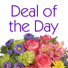 Deal of the Day Spring Mix Bouquet