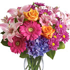Knock someone?s socks off with this colorful bouquet of fresh lilies, roses, hydrangea, Gerberas, alstroemeria, daisy poms, or similar fresh seasonal favorites designed in a stylish glass vase. Wonderful! Approximately 17 inches high x 14 inches wide. Some flowers and colors may vary seasonally. Florist delivery throughout the USA and Canada.