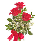 Send a message of love, appreciation, or caring with this deluxe rose bud vase featuring three beautiful roses, assorted greenery, and tiny accent blossoms, too. A wonderful way to say 'Thinking of You,' and 'Think of Me, too!' Available in a variety of popular rose colors. Same-day and next-day florist delivery in the USA and Canada.
