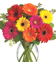 Gerbera Brights Bouquet #T1561