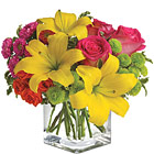 Send a sunny splash of color with this contemporary compact bouquet of lilies, roses, asters, button poms, or similar fresh favorites in hot pink, yellow, orange, and green hues. Perfect for birthdays, thank you gifts, thinking of you, or any happy occasion. Approximately 10 inches W x 10 inches H as shown. USA and Canada florist delivery.