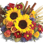 Brighten any Autumn or Thanksgiving gathering with this colorful cornucopia centerpiece overflowing with fresh Autumn blooms. This annual favorite features sunflowers, roses, daisy poms, chrysanthemums, or similar Fall flowers designed with seasonal accents in a traditional design that's brimming with beauty. Available in most areas from September till Thanksgiving. USA and Canada delivery.