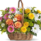 This colorful bouquet features roses, spray roses, asters, daisies, button poms, monte cassino, or similar fresh flower favorites, designed in a charming basket. A gift of warmth and sunshine even when skies are gray! Approximately 14 inches W x 12 inches H as shown. USA and Canada delivery.