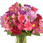 This stylish compact bouquet features roses, alstroemeria, daisy poms, asters, carnations, or similar fresh favorites in pretty pink, lavender, and deep fuchsia hues. Dashing! Designed and delivered in a quality glass vase. USA and Canada florist delivery.