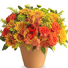 Season of Splendor Flowers Bouquet (Fall)
