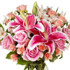 Show someone how much you care with this beautiful vased bouquet of roses, lilies, and alstroemeria in pretty pink, blush, and white tones. Perfect for anniversaries, thanks, or thinking of you. A Valentine's and Mother's Day flowers favorite, too! Professional florist design and delivery throughout the USA and Canada.