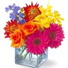 Calypso Flowers Bouquet