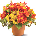 Sugar Maples Bouquet