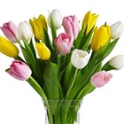 Assorted Spring tulips delivered in a glass vase. A great way to brighten anyone's day! Available in most areas February till early May. Blossom colors and style of vase may vary in some cases. USA and Canada florist delivery.