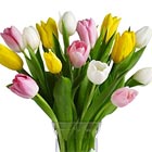 Spring Tulips Vase (Feb. - mid-May)