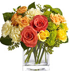 Teleflora Citrus Splash Bouquet