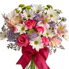 A pretty little pastel vased bouquet featuring daisy spray chrysanthemums, miniature roses, button poms, monte casino, alstroemeria, or similar seasonal fresh flowers in soft pink, white, and lavender hues. Delightful! Great for a birthday, thank you, friendship, feel better, or thinking of you. Same day and next day florist delivery.