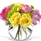 Surprise someone with this charming combination of 3 pink and 3 yellow roses with accents. A bouquet of happiness! Great for a birthday, get well, thank you, or just because. Prices vary by blossom size and accents. Same day and next day florist delivery in USA and Canada.