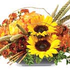 Stylish Autumn Flowers Centerpiece (Fall)