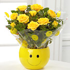 - FTDŽ Sending A Smile Mini Rose Plant