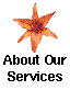 About Our Services