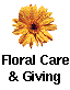 Flower Care and Giving