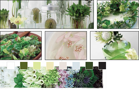 Flowers Trends - Hydroponic