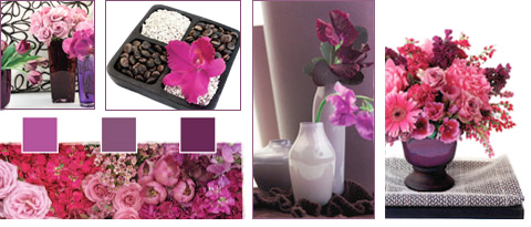 Flowers Trends - Plum Infusion