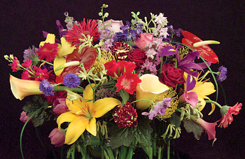 Flowers Trends - Profusion