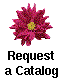 Flowers Catalog