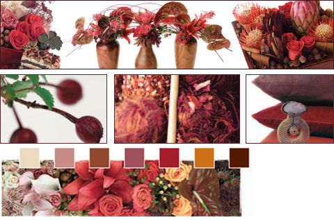 Flowers Trends - Rose Hip