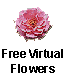 Free Virtual Flowers