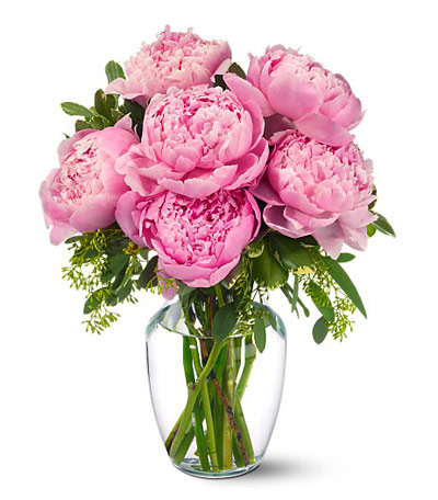 Pink Peonies