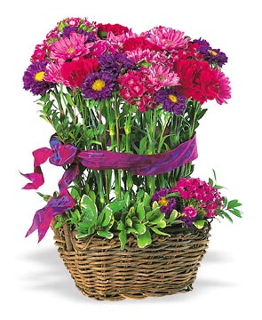 Topiary Basket Virtual Bouquet