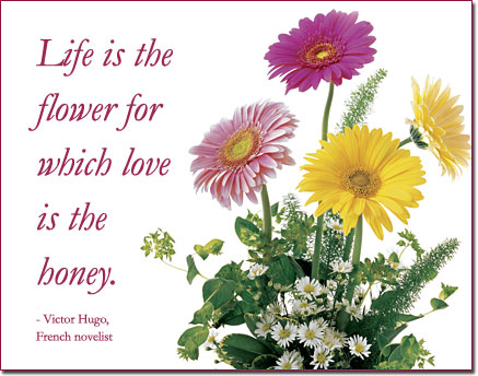 Life Is the Flower Virtual Daisies eGift