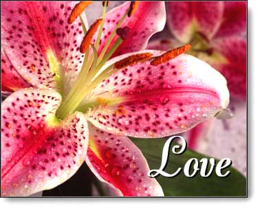 'Love' Virtual Flower eCard