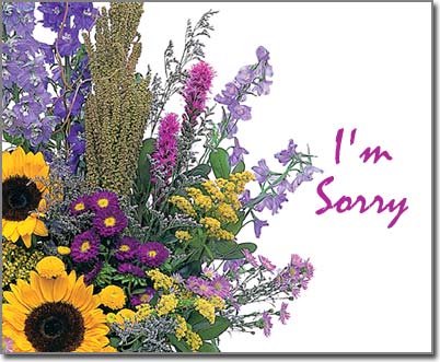 'I'm Sorry' Virtual ecard