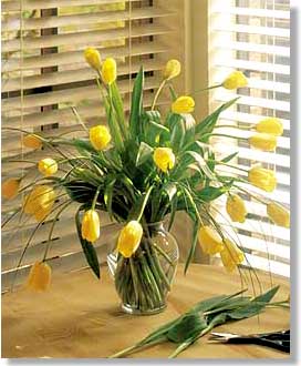 Fresh Yellow Tulips Virtual Bouquet
