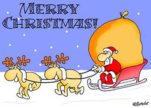 Christmas ecard of Santa and his sleigh
