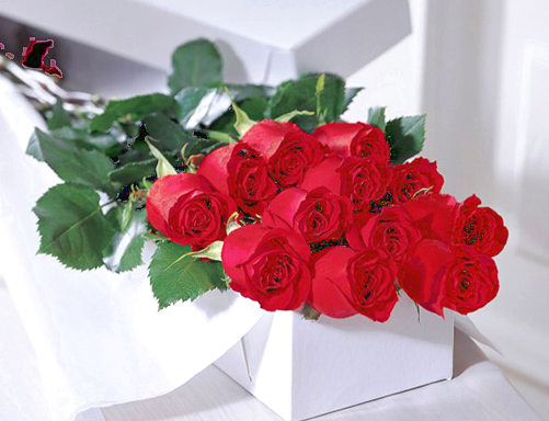 FTD® One Dozen Red Roses