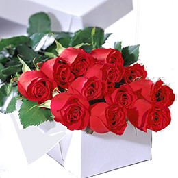 FTD One Dozen Red Roses