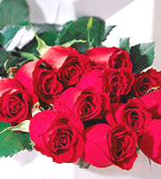 FTD One Dozen Red Roses